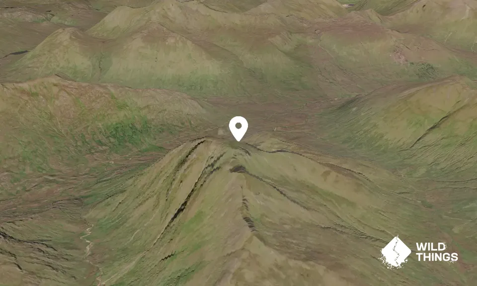 Ciste Dhubh