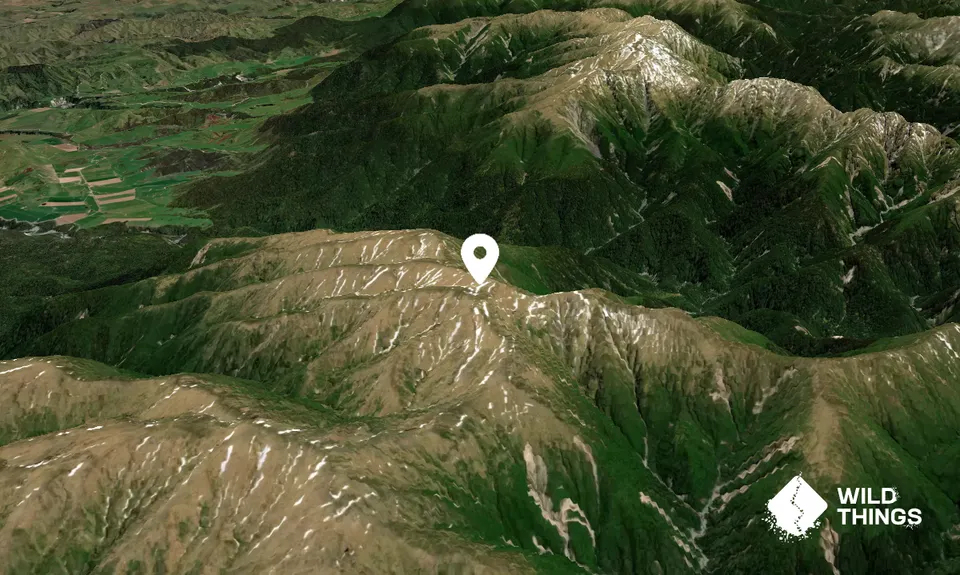 Maungamahue