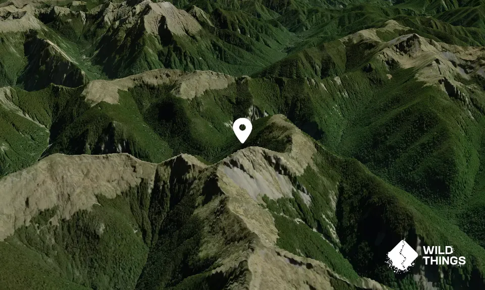 Nugget Knob