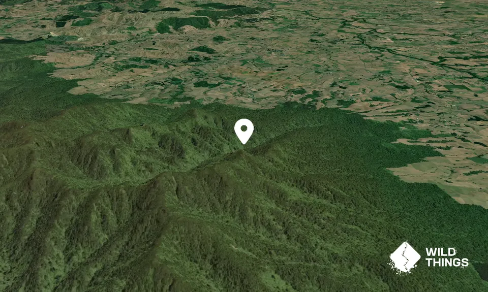 Wharauroa