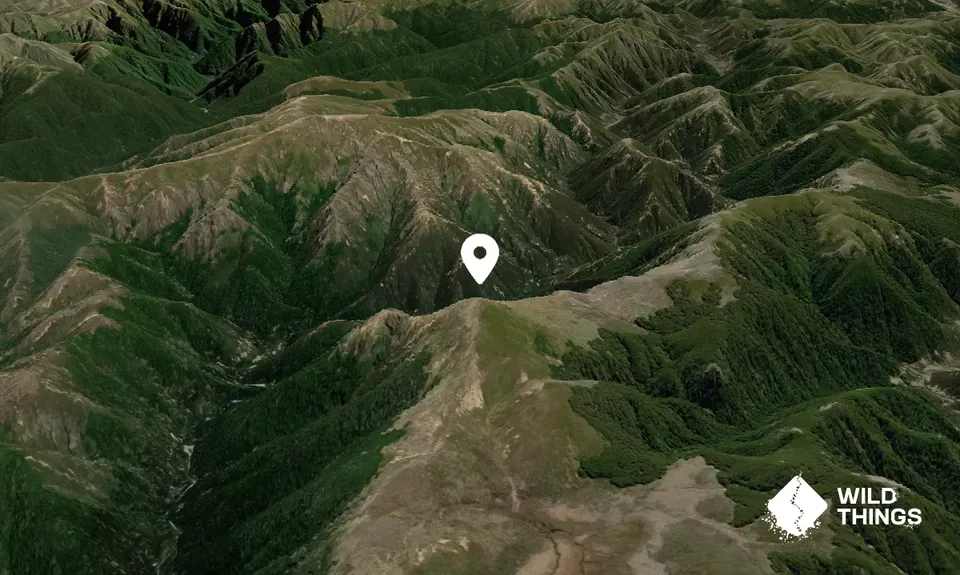 Prominent Cone