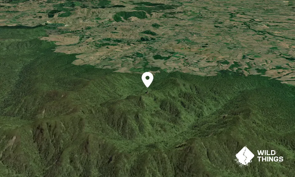 Tirohanga