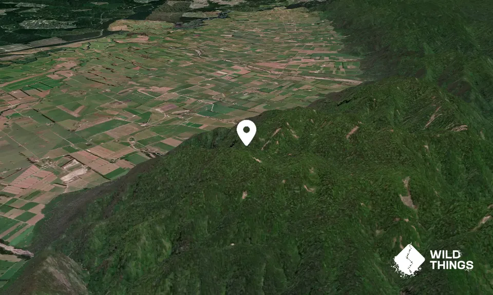 Tawhiuau