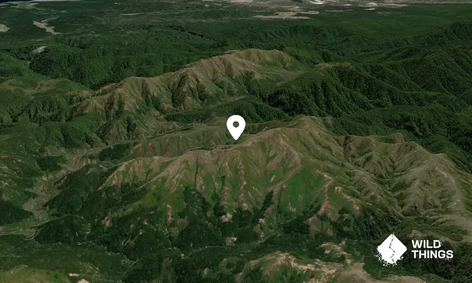 Te Kohatuakaiuru