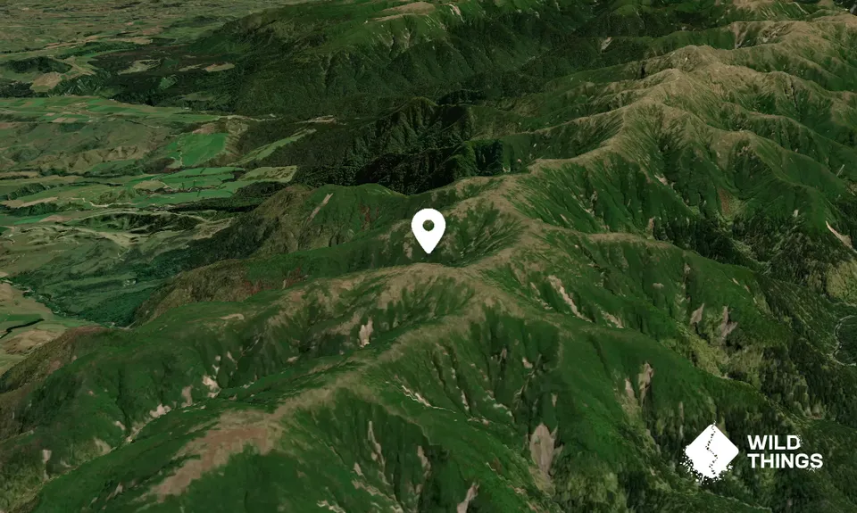 Whaingapuna