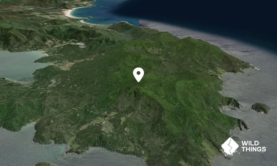 Ruahine