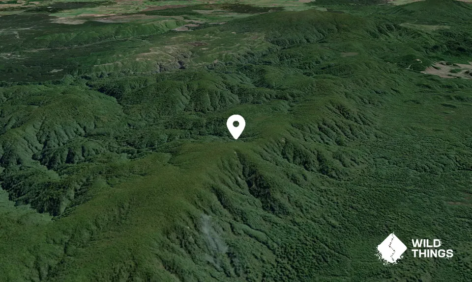 Weraroa