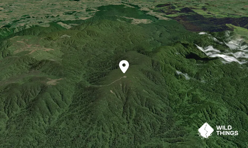 Ranginui