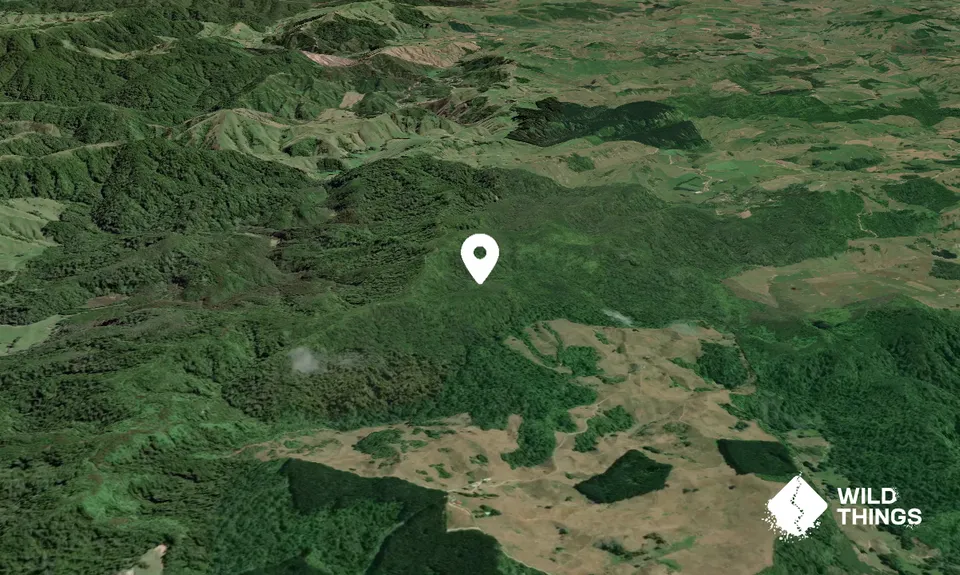 Matakana