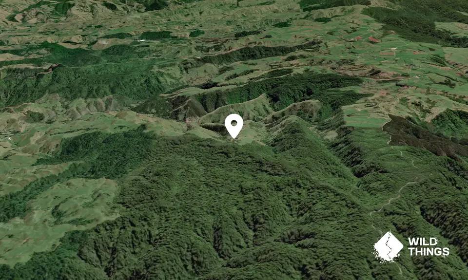 Te Kihi