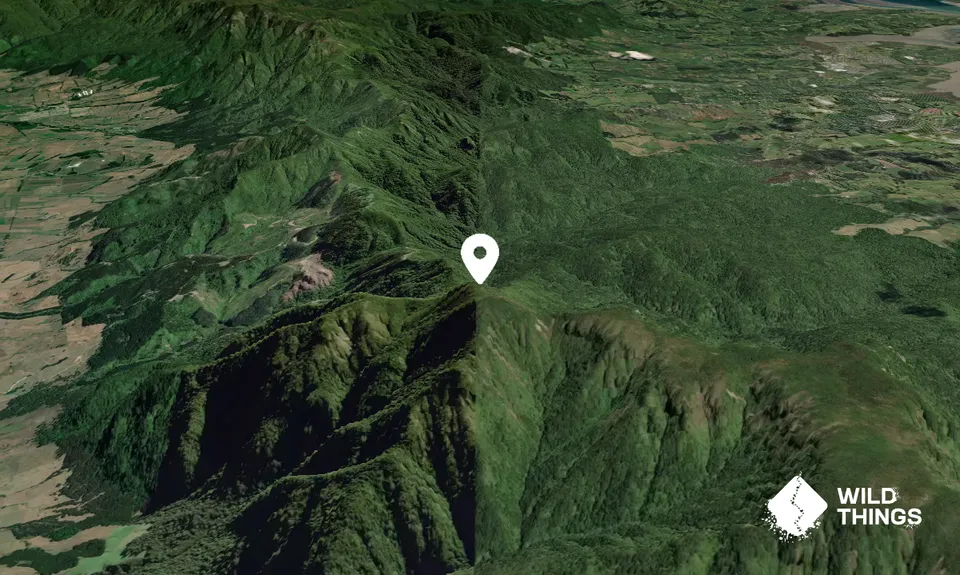 Ngatamahinerua