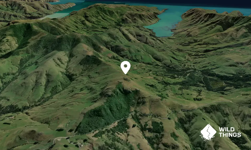Montgomery Peak