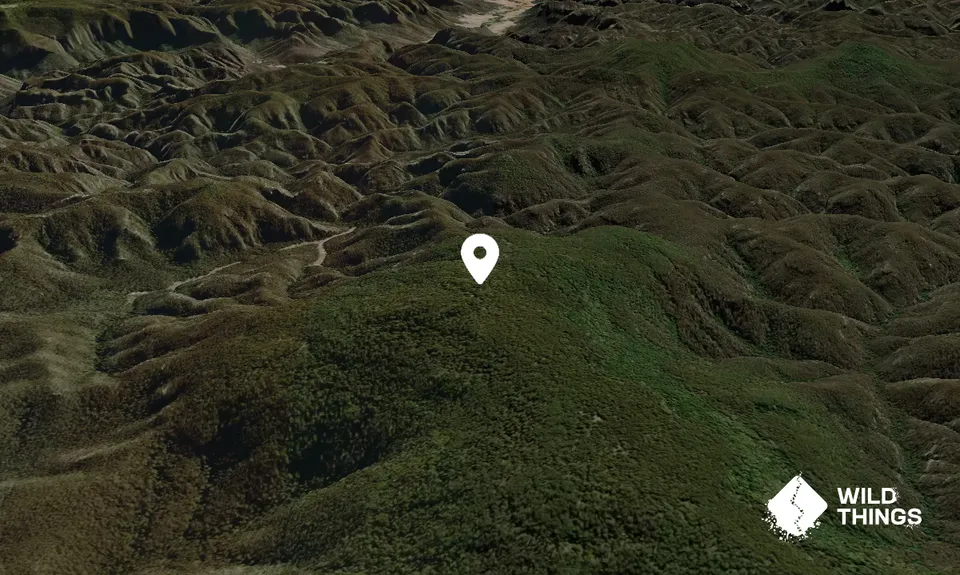 Mount Coricudgy
