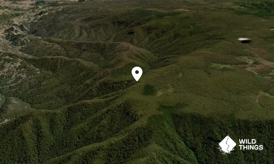 Mount Barrington