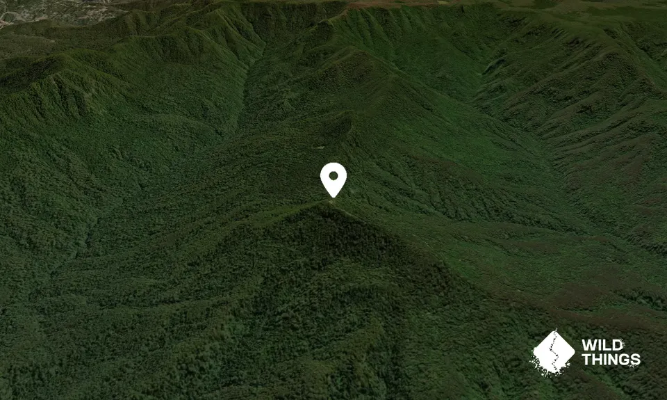 Mount Allyn
