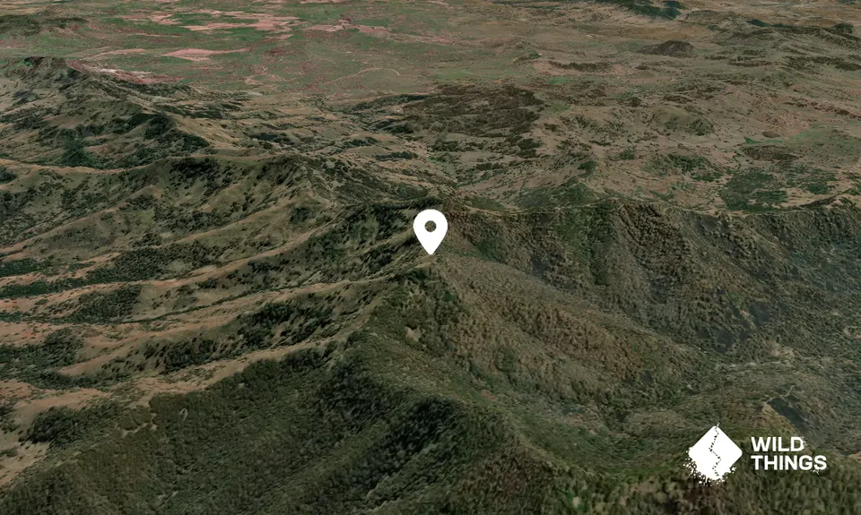 Crawney Mountain