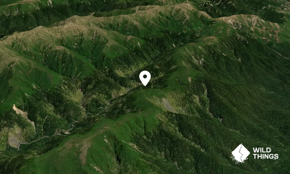 Te Pohatu