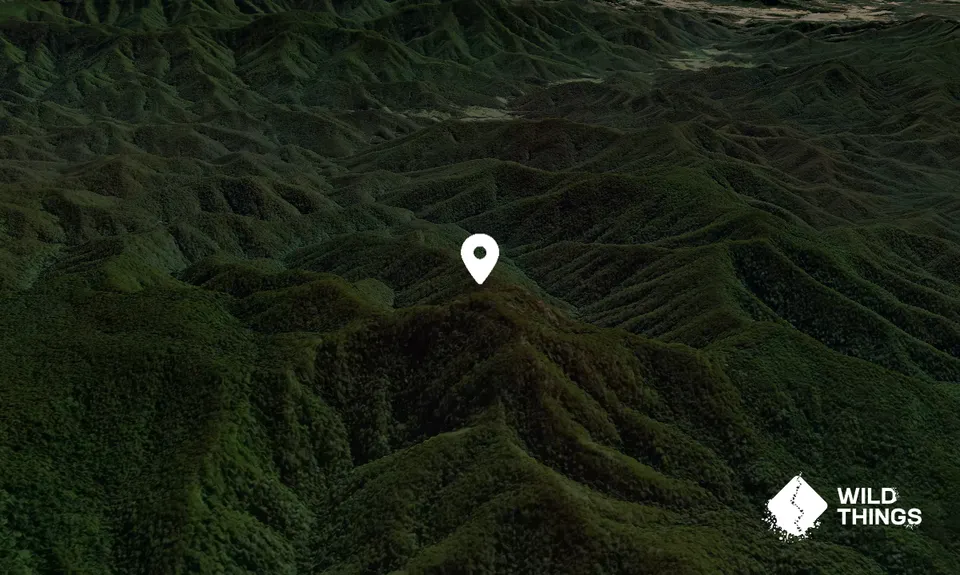 Mount Banda Banda