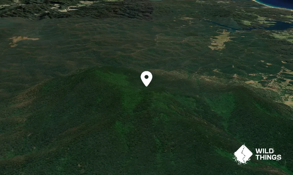 Gulaga