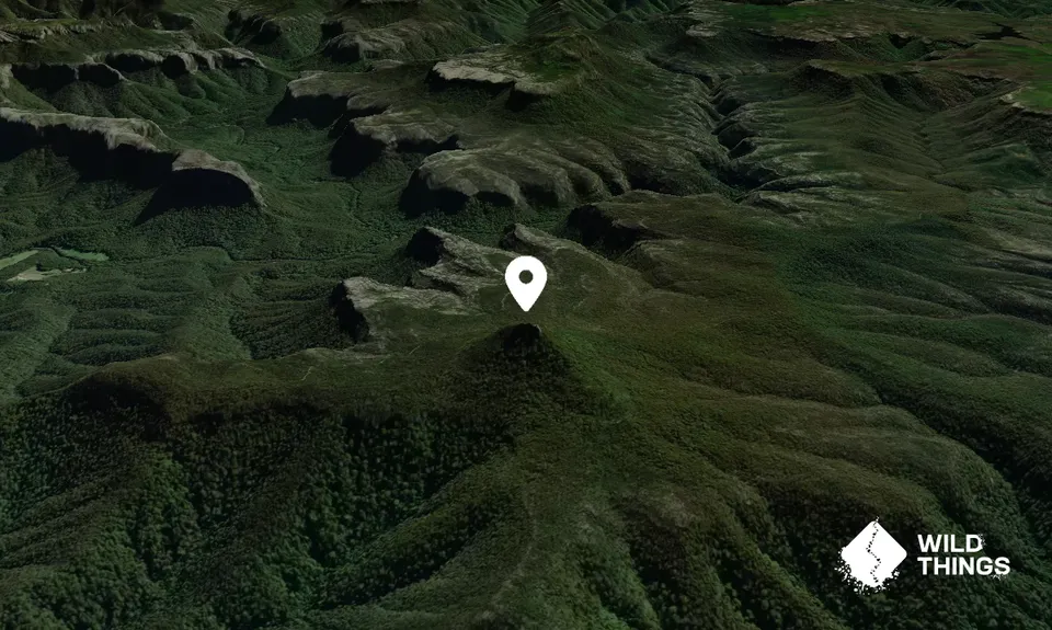 Pigeon House Mountain