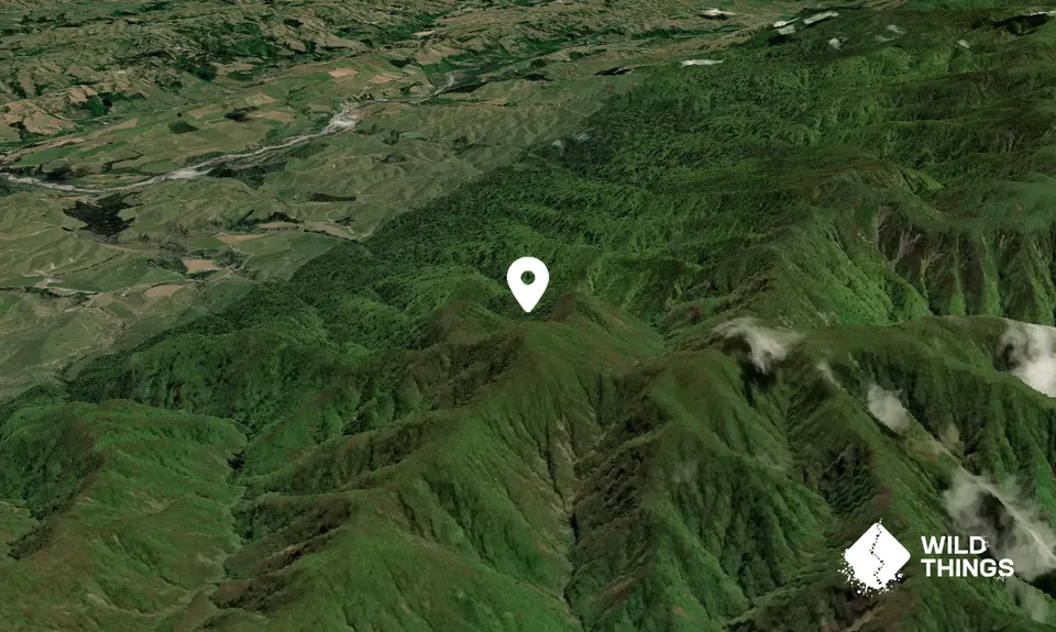 Maharahara