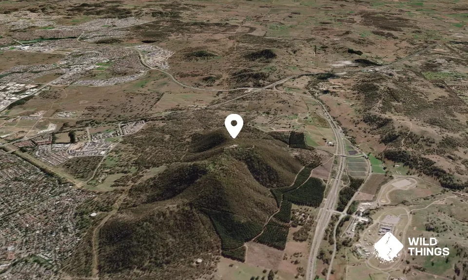 Mount Majura
