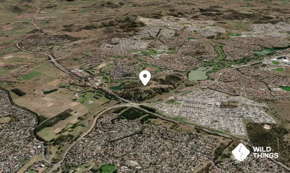 Percival Hill