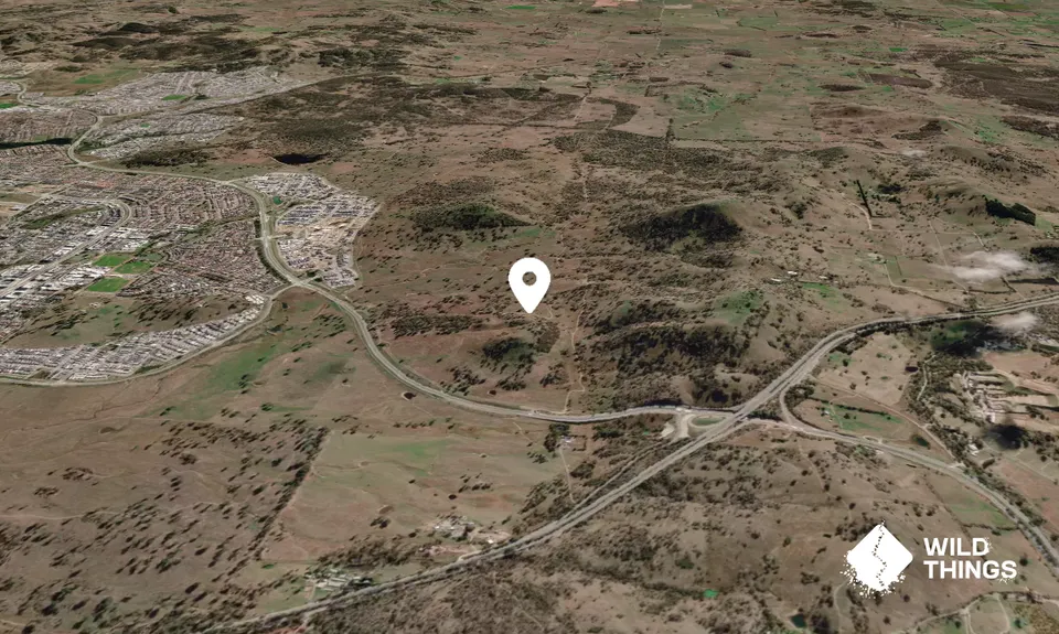 Burnt Stump Hill