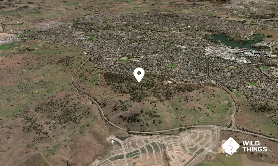 Bunny Hill