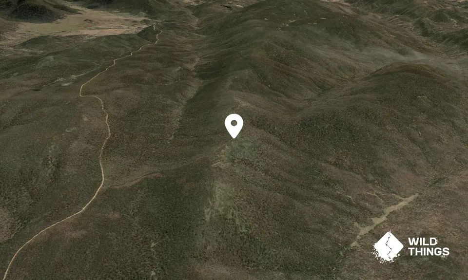 Shanahans Mountain
