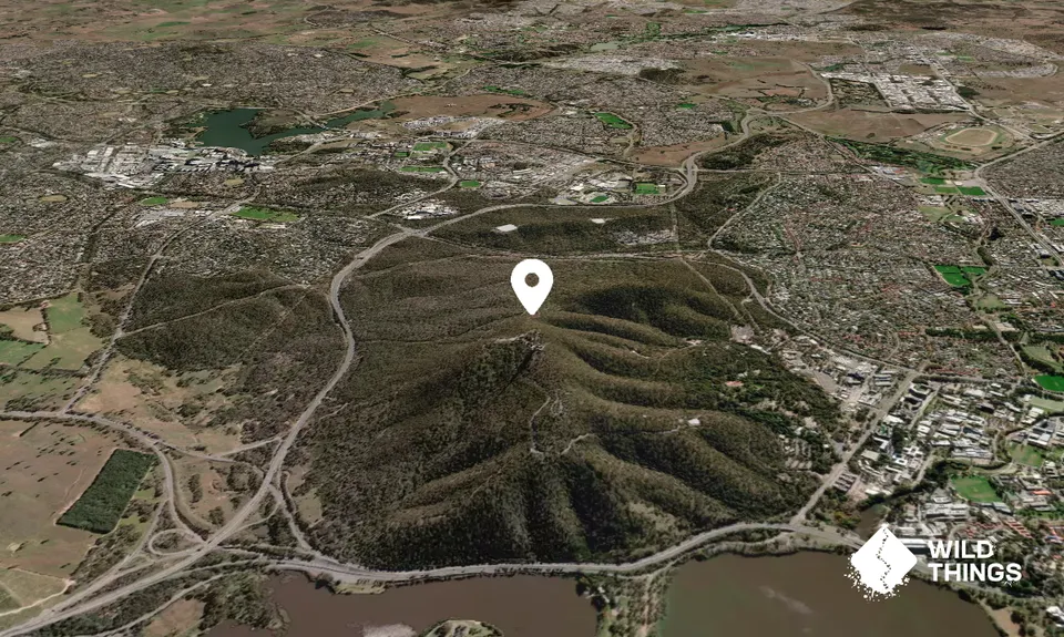 Black Mountain