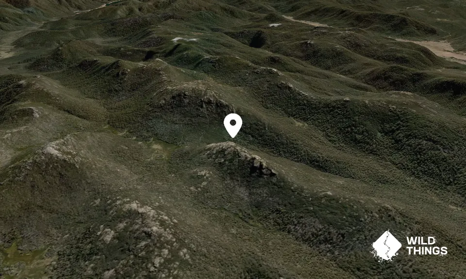 Mount Burbidge