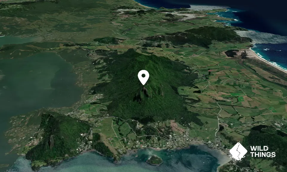 Manaia