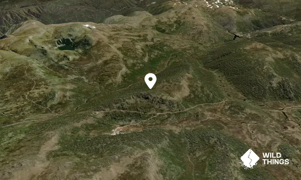 Mount Guthrie