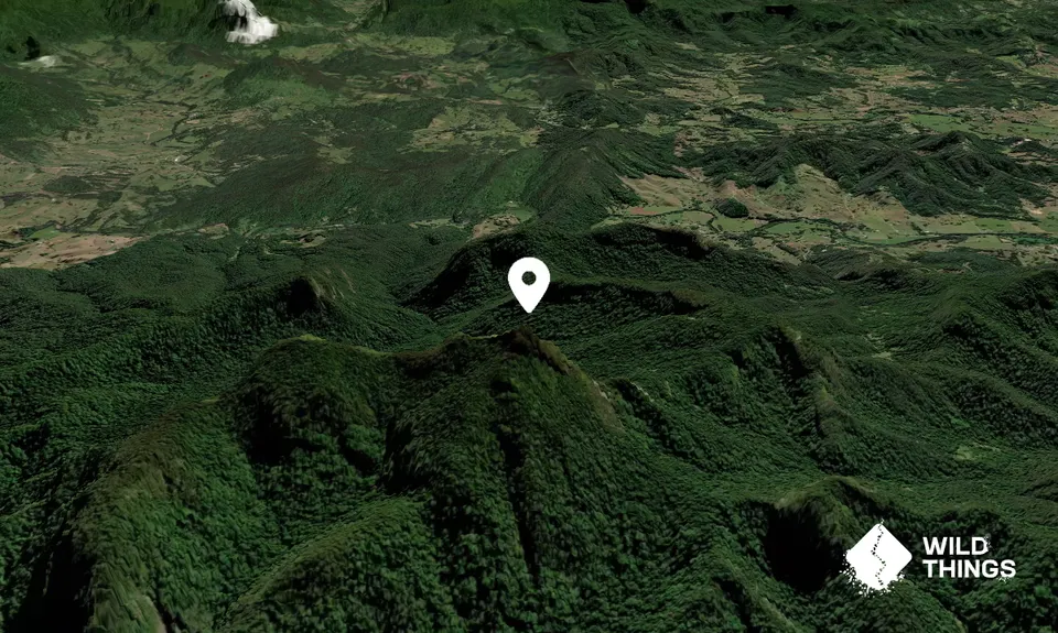 Mount Warning