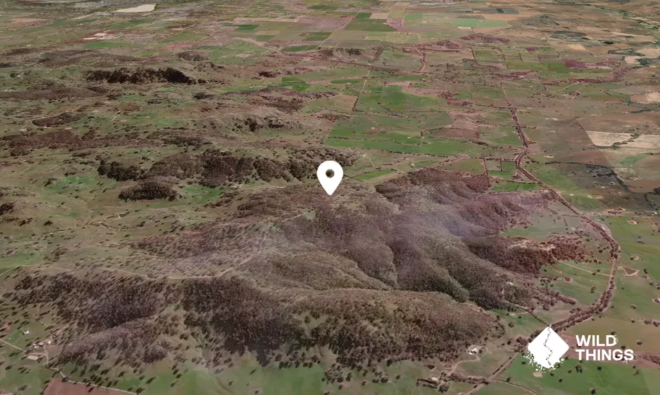 Mount Flakney