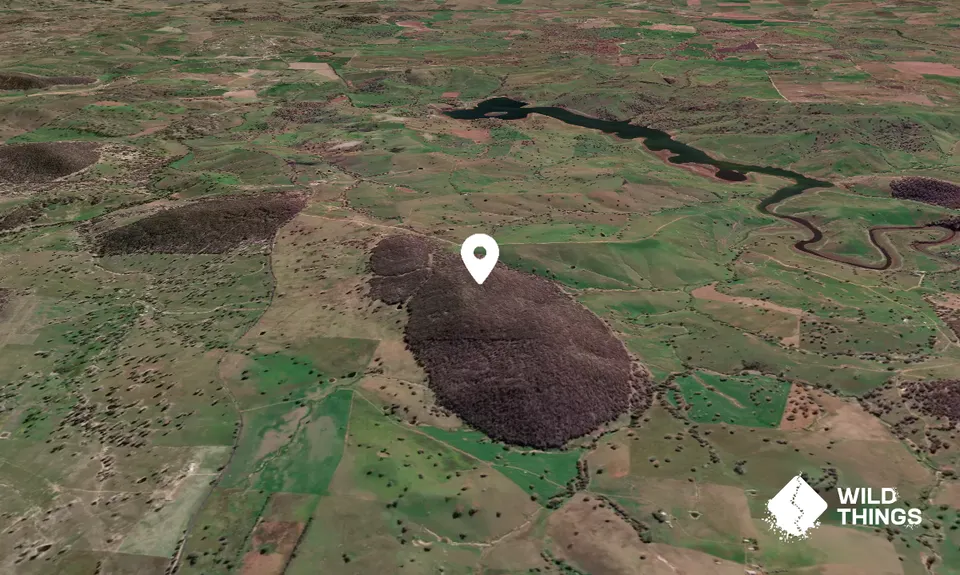Mount Tannas