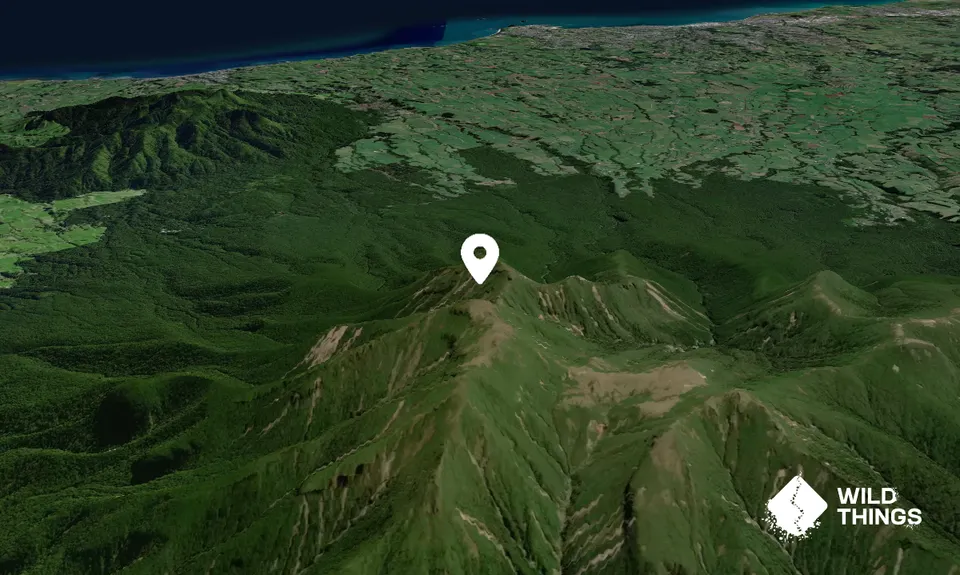Pouakai