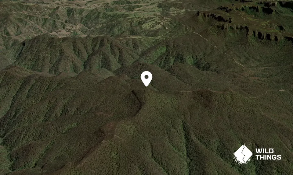 Mount Warrigal