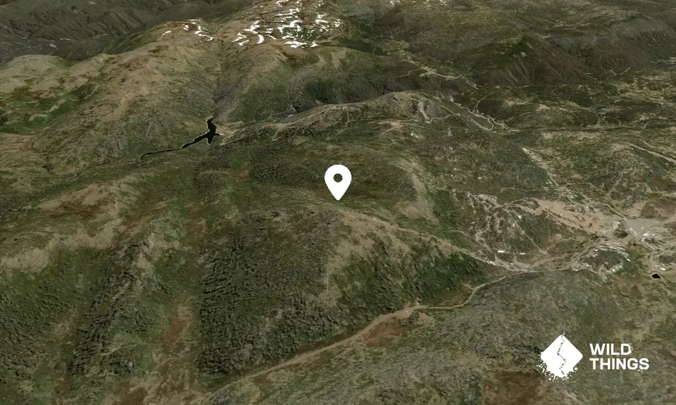 Mt Perisher