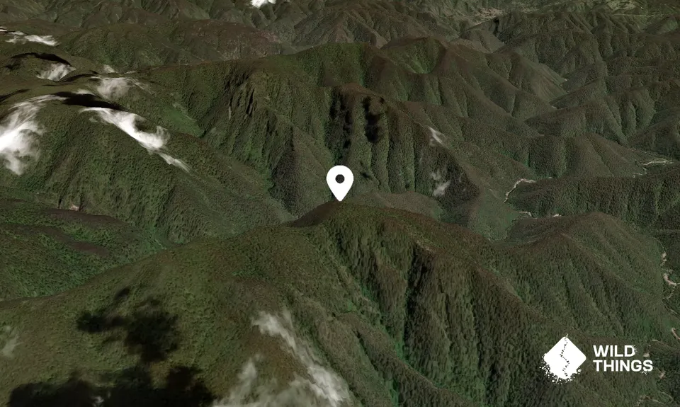 Mount Paralyser