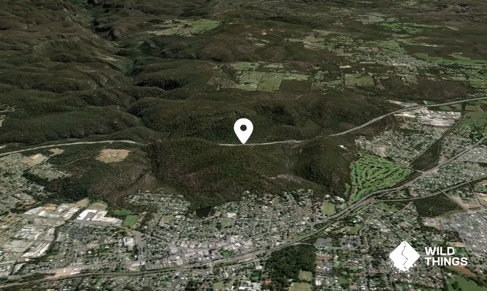 Mount Alexandra