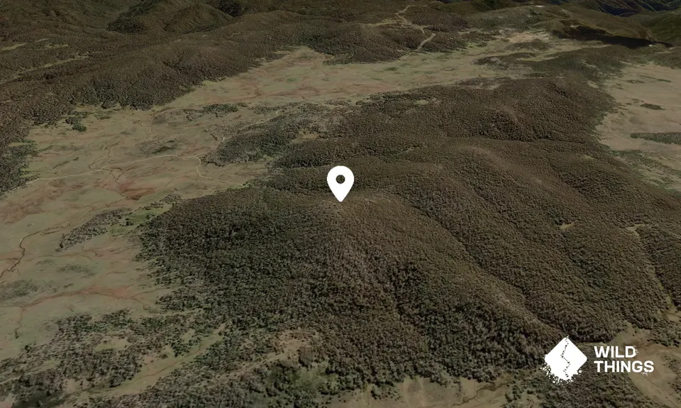 Skaines Mountain