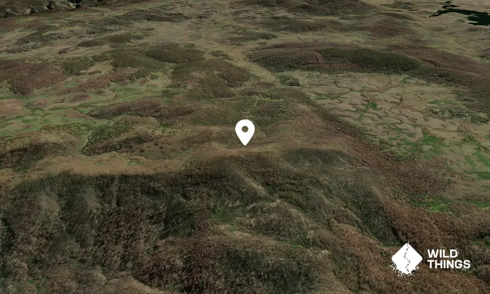 Tantangra Mountain