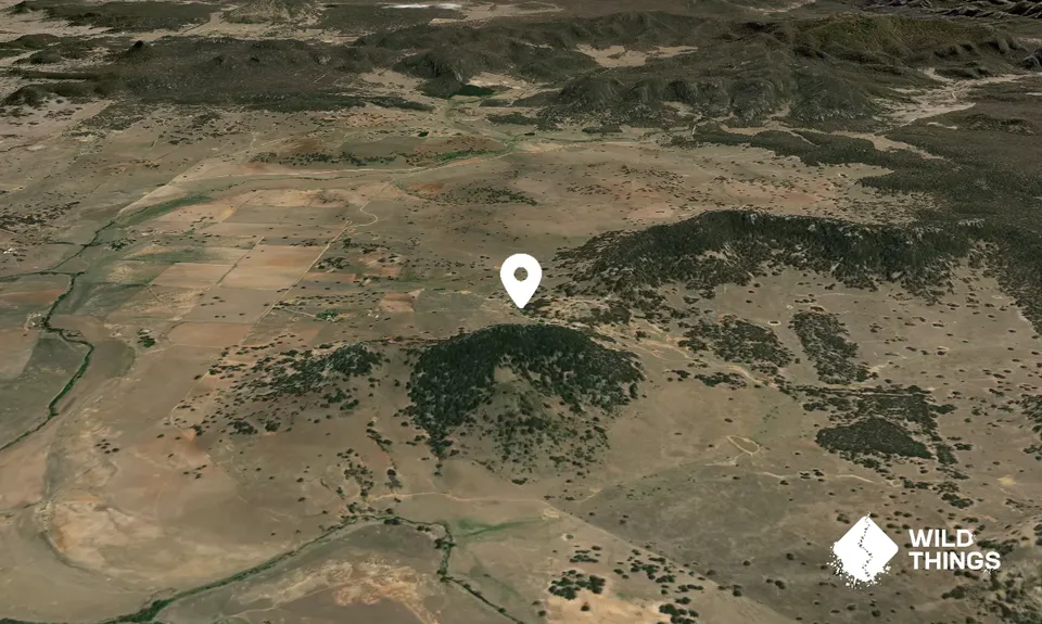 Mount Brace