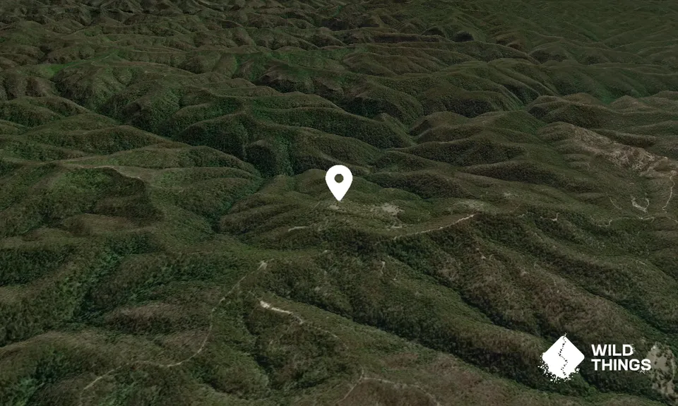 Mount Kindarun