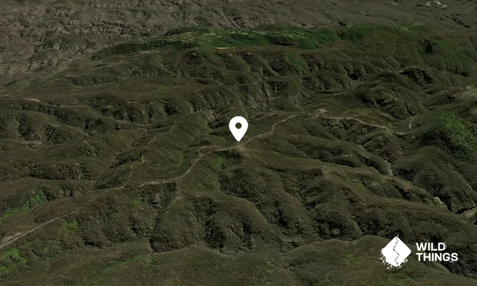 Mount Charles