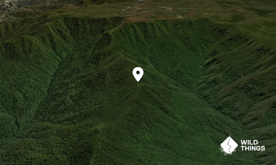 Mount Gunama