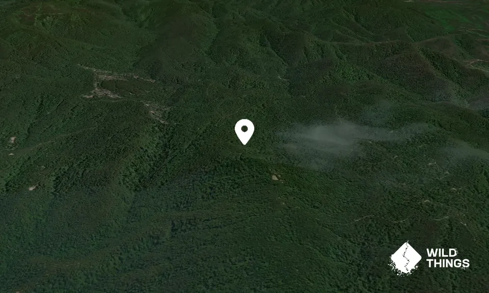 The Knob