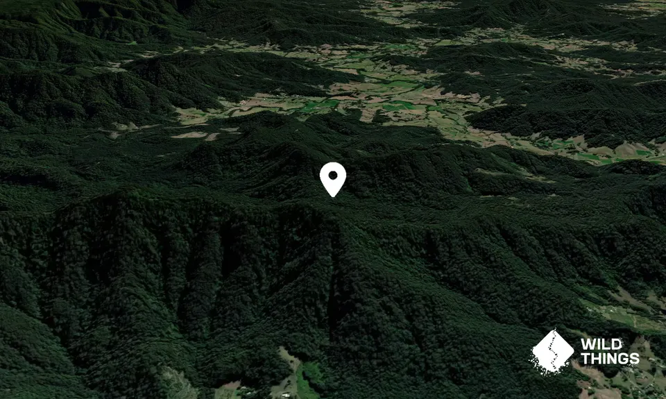 Bonville Peak
